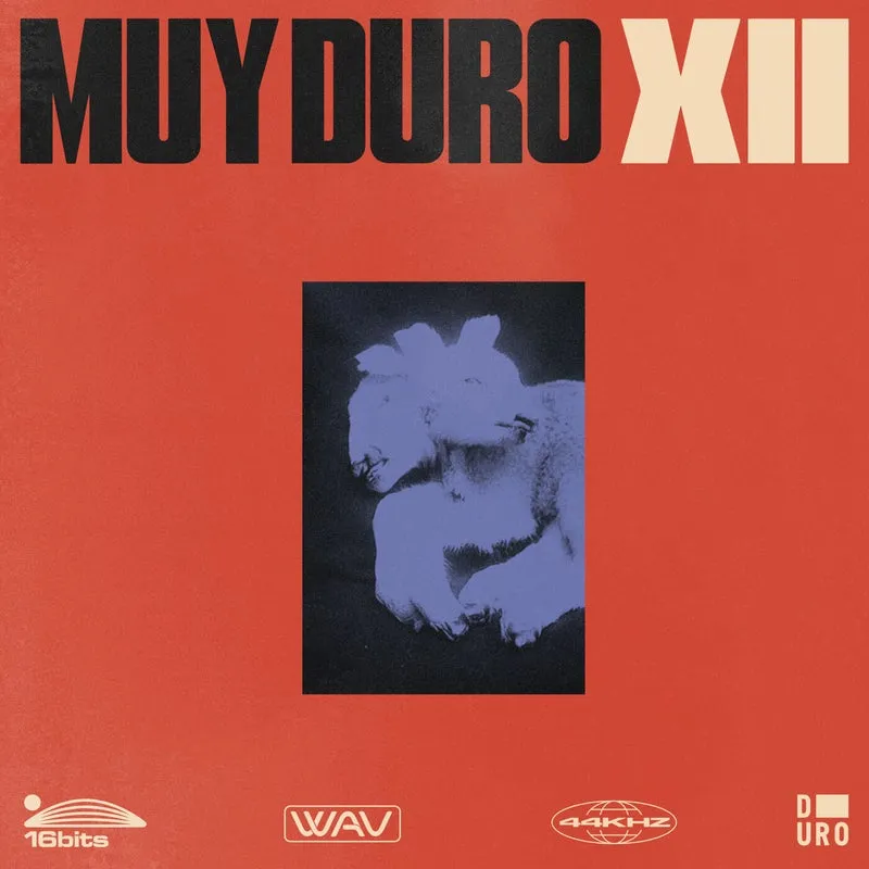 Various Artists - Muy Duro, Vol. 12 [Duro]