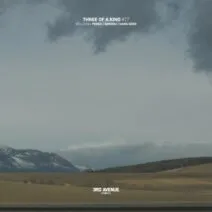 VA – Three of a Kind #027