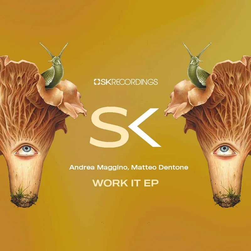 Andrea Maggino, Matteo Dentone - Work It [SK Recordings]