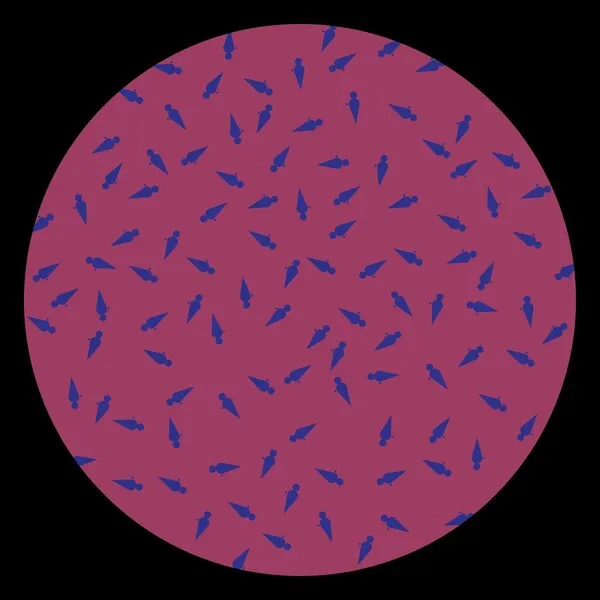 Cicuendez - #9999 [Dez]