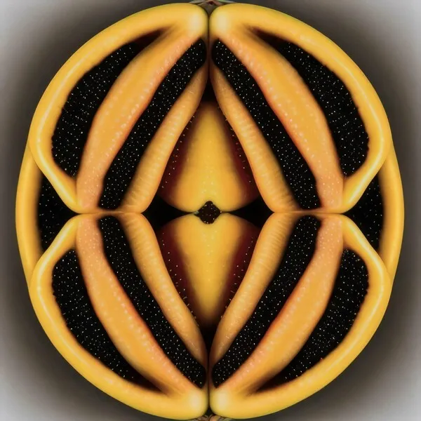 Jepe, Manu Strasse – Roots & Wings