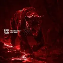 Meraki (ofc) – Panthera