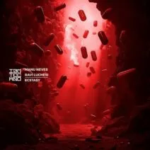 Ravi Luchesi, Manu Neves – Ecstasy