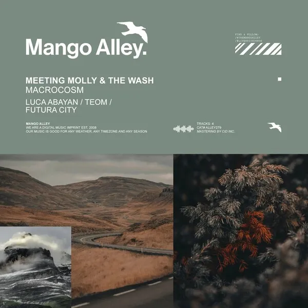 The Wash, Meeting Molly – Macrocosm