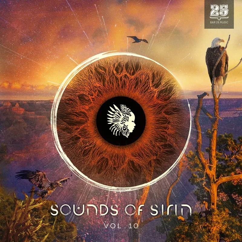 VA - Bar 25 Music Presents. Sounds of Sirin Vol.10 [Bar 25 Music]