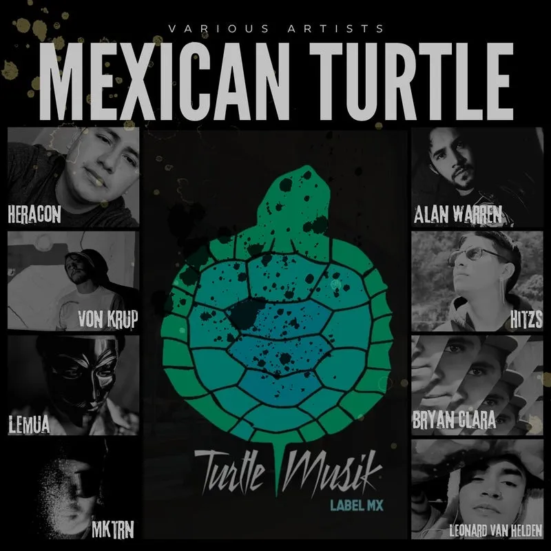 VA – Mexican Turtle