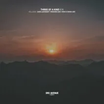 VA – Three of a Kind #028