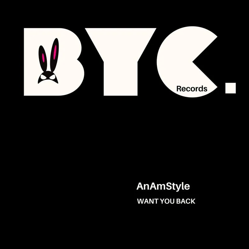 AnAmStyle – WANT YOU BACK