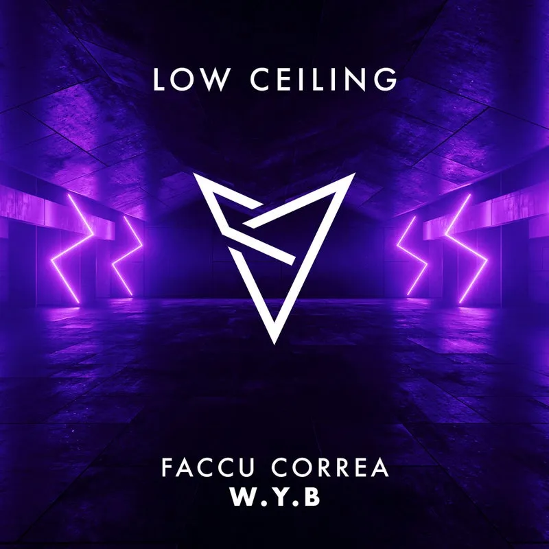 Faccu Correa - W.Y.B [LOW CEILING]