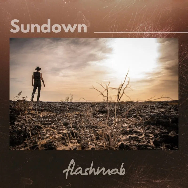 Flashmob - Sundown [Flashmob Records]