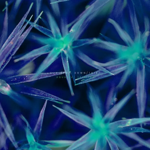 Guy From Downstairs - Aquarius Trippin' [Cadenza]