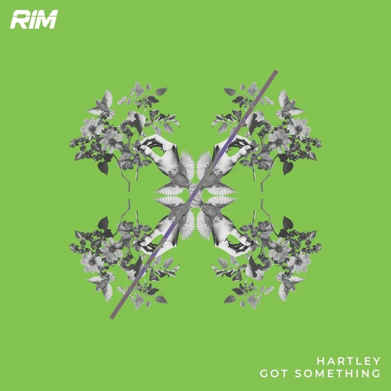 Hartley (UK) - Got Something [RIM]