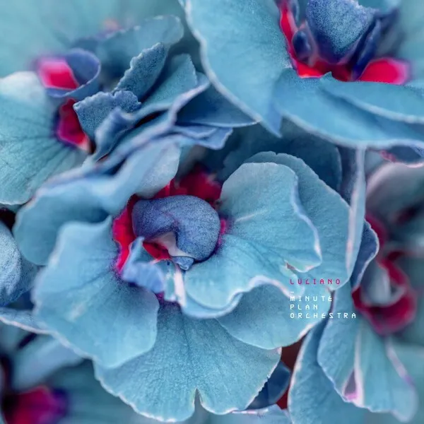 Luciano - Minute Plan Orchestra [Cadenza]