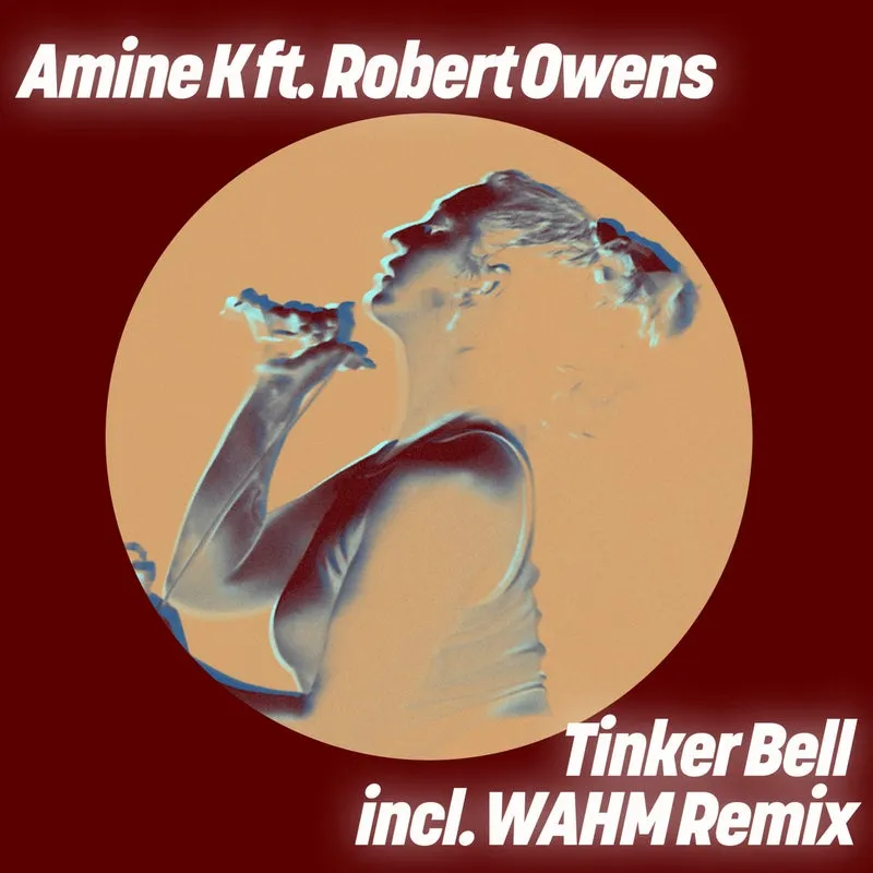 Robert Owens, Amine K (Moroko Loko) - Tinker Bell [Get Physical Music]