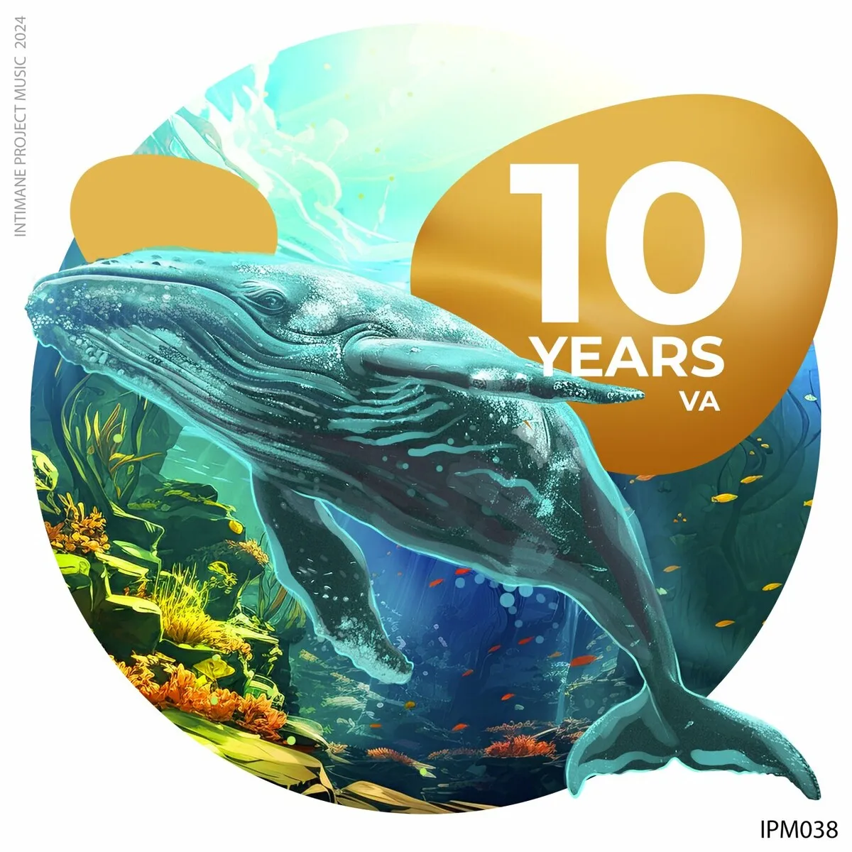 VA - VA 10 Years Originals [Intimate Project Music]