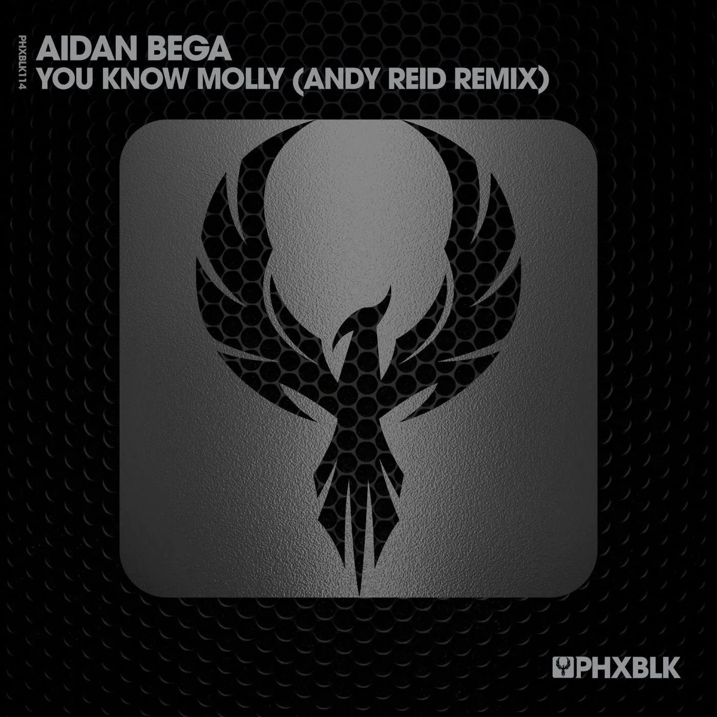 Aidan Bega - You Know Molly (Andy Reid Remix) [PHXBLK]