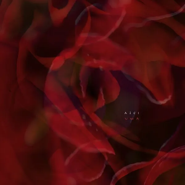 Alci – Uma