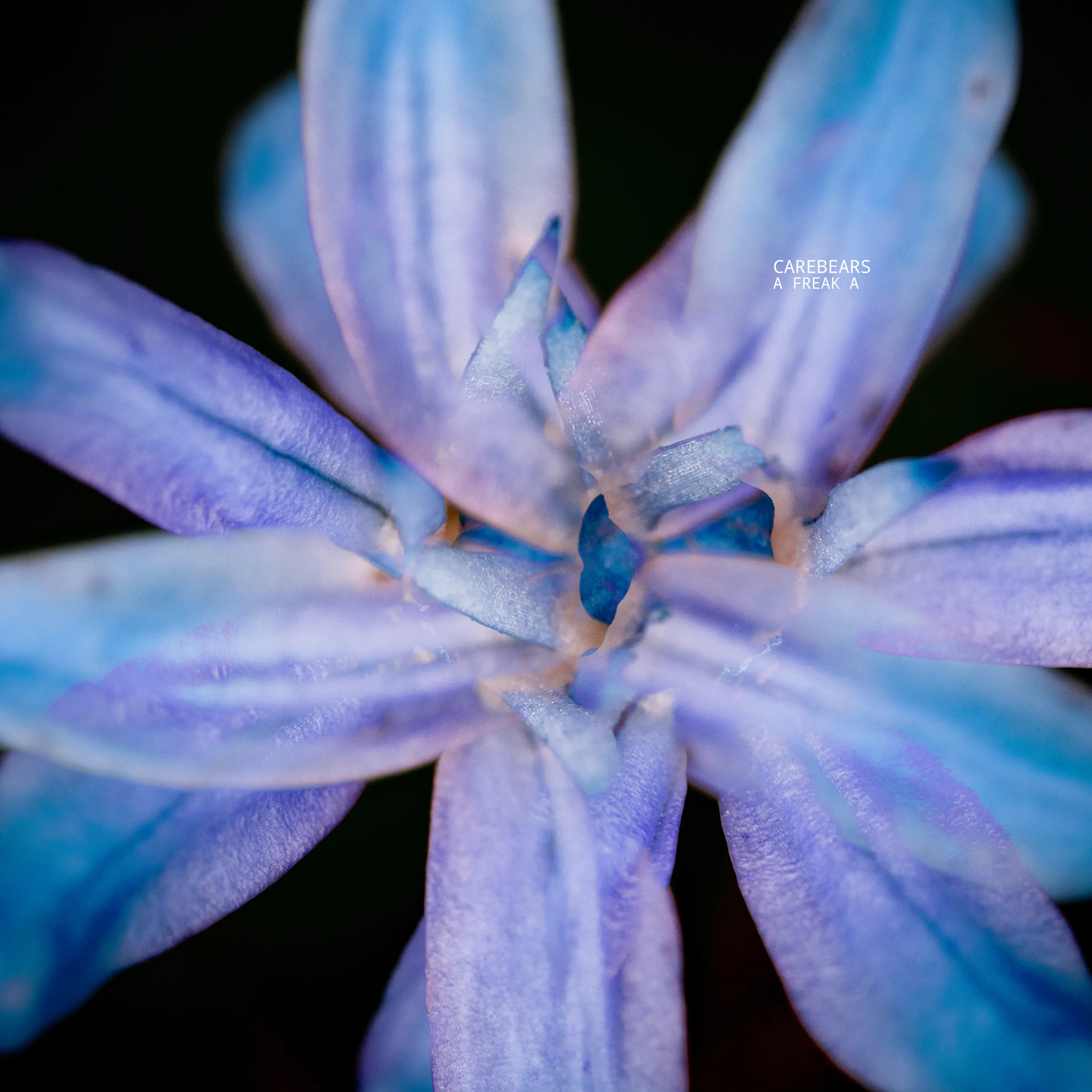 Carebears – A Freak A