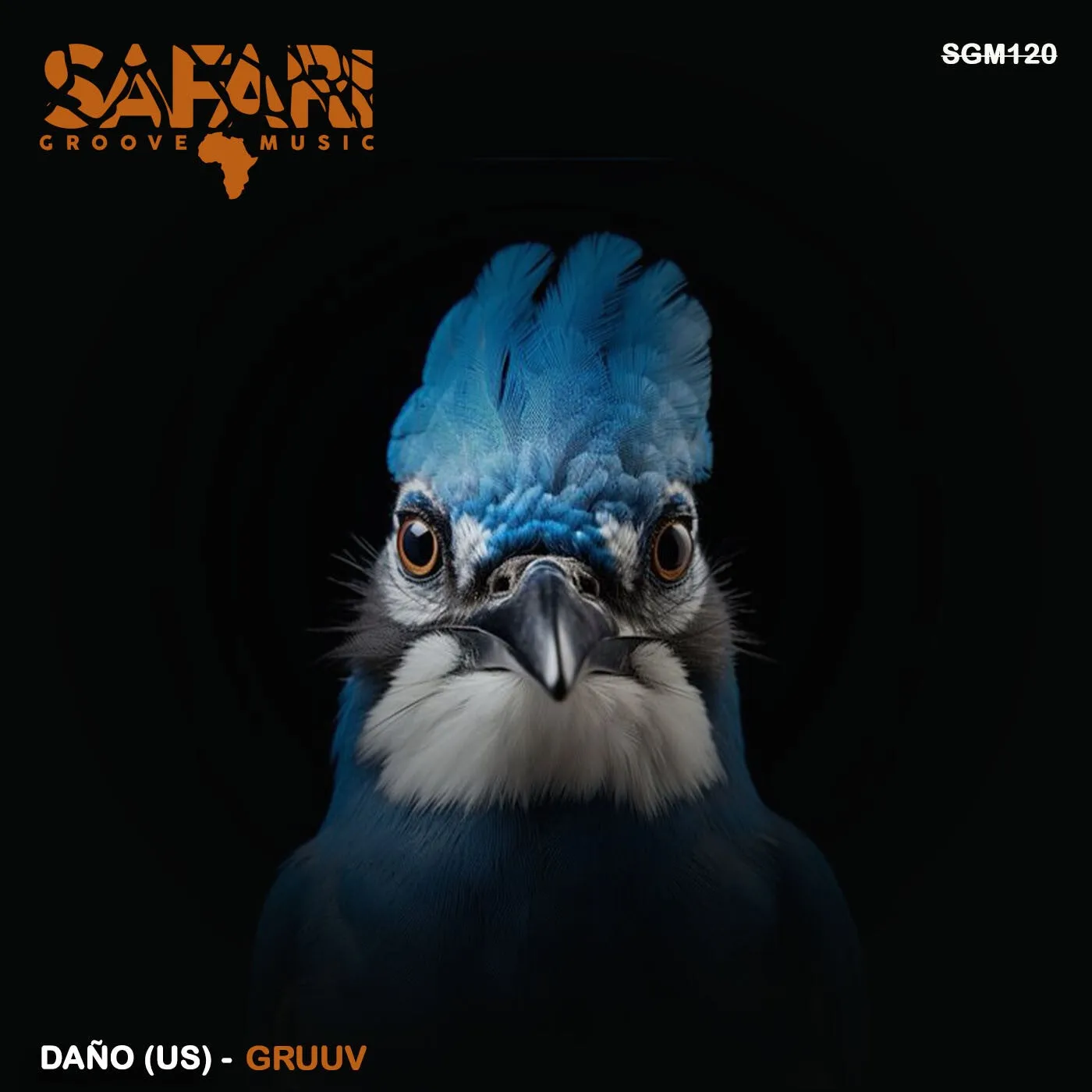 DAÑO (US) - Gruvv [Safari Groove Music]