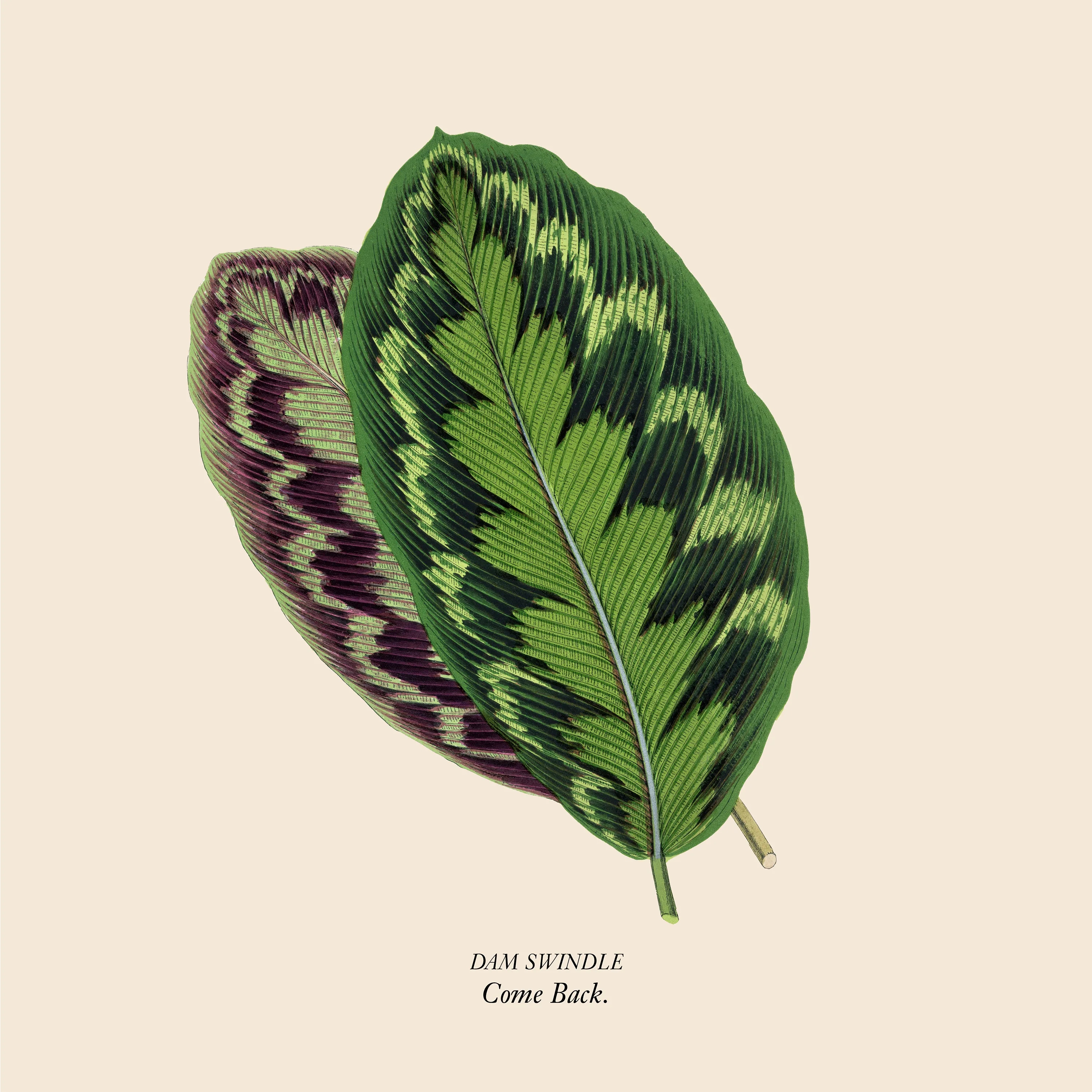 Dam Swindle - Come Back EP [AUS200B]