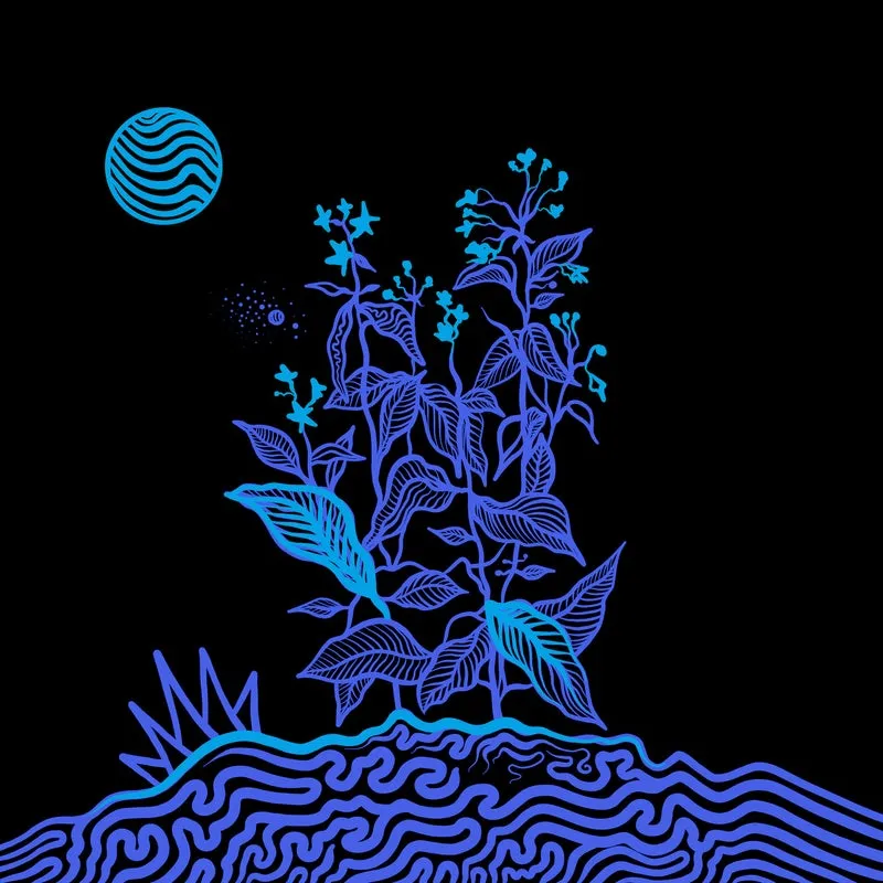 Dotwork - Light It [NastyFunk Records]