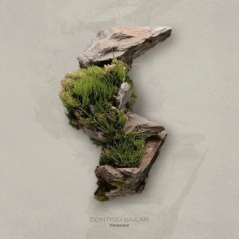 Frannz - Contigo Bailar [Siona Records]