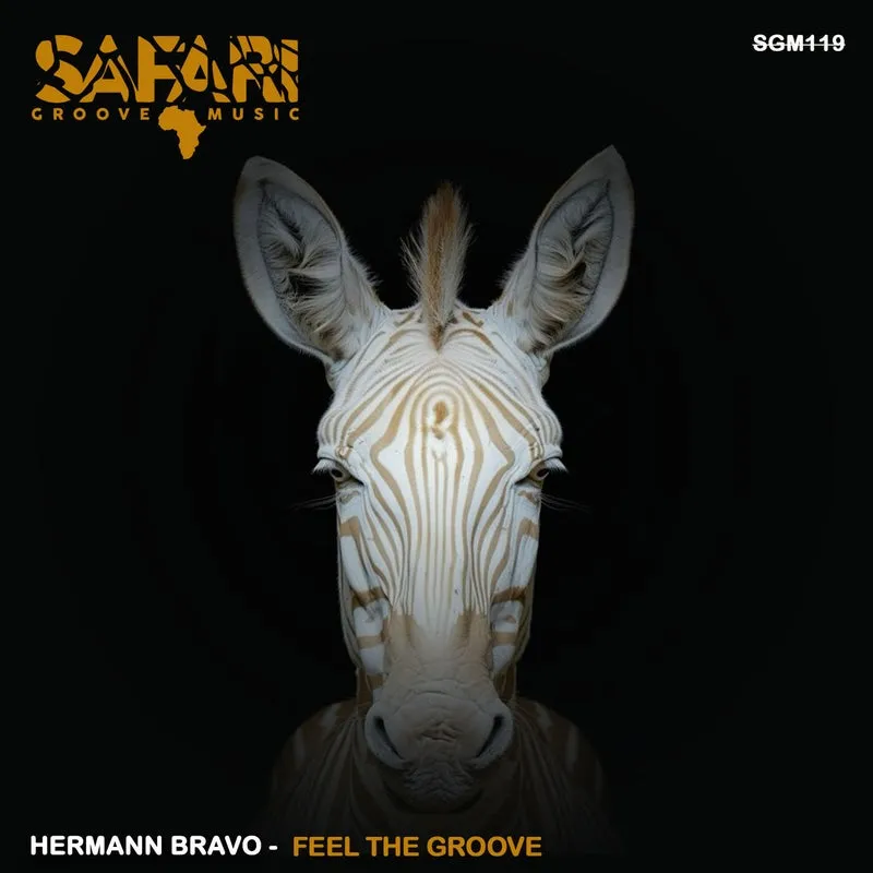Hermann Bravo – Feel The Groove