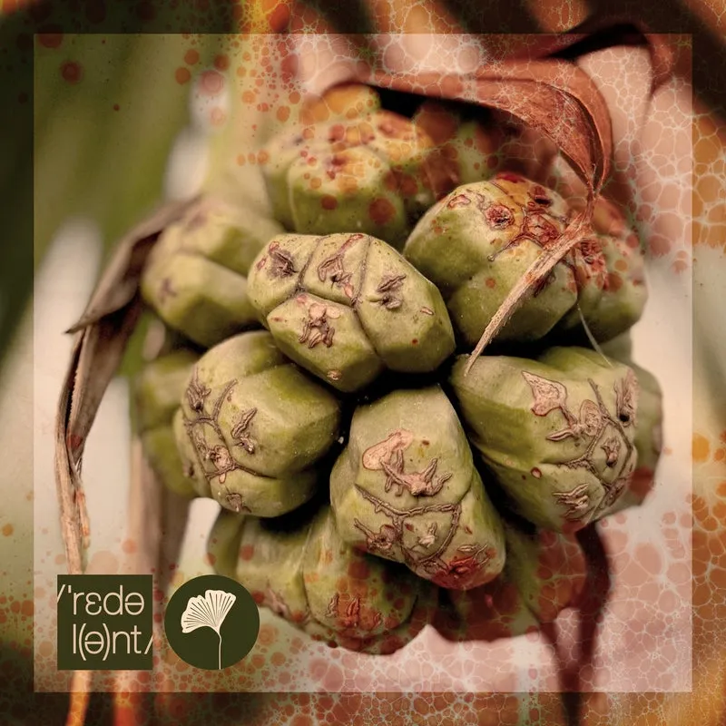 Ivan Romero - Oshun [REDOLENT]