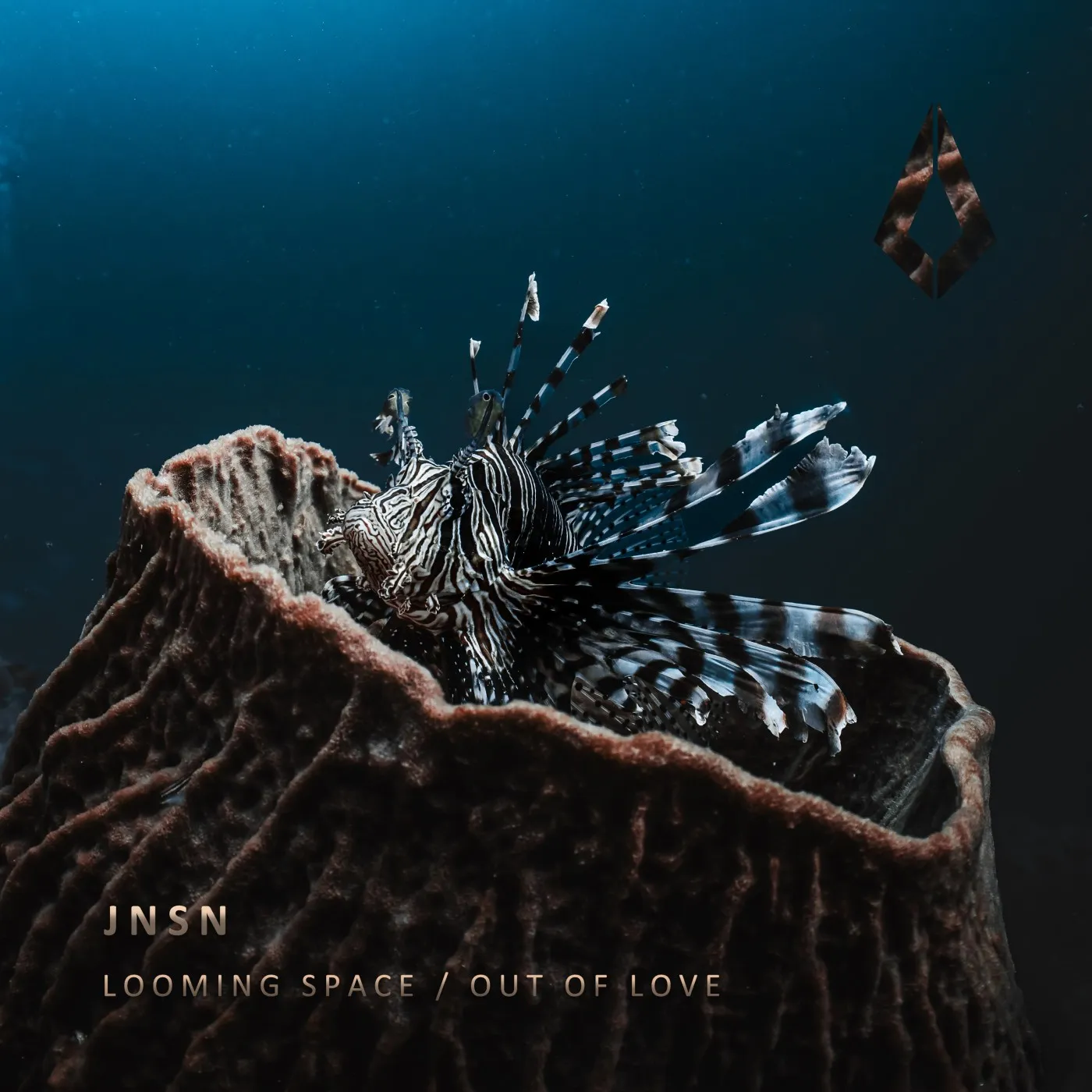 JNSN - Looming Space _ Out of Love [Purified Records]