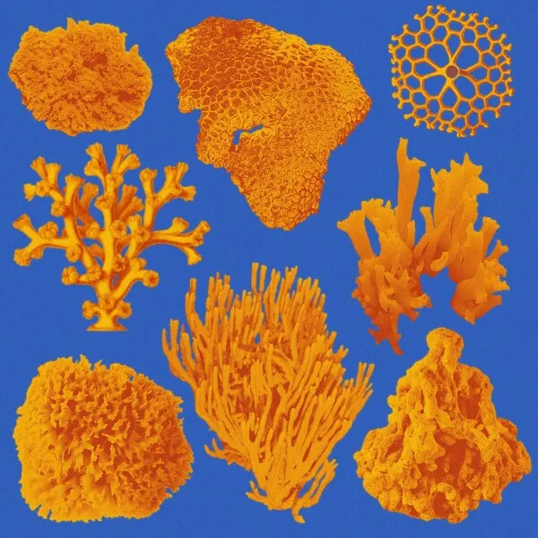 James Curd - Feeling Mumbled Remixes [Exploited]