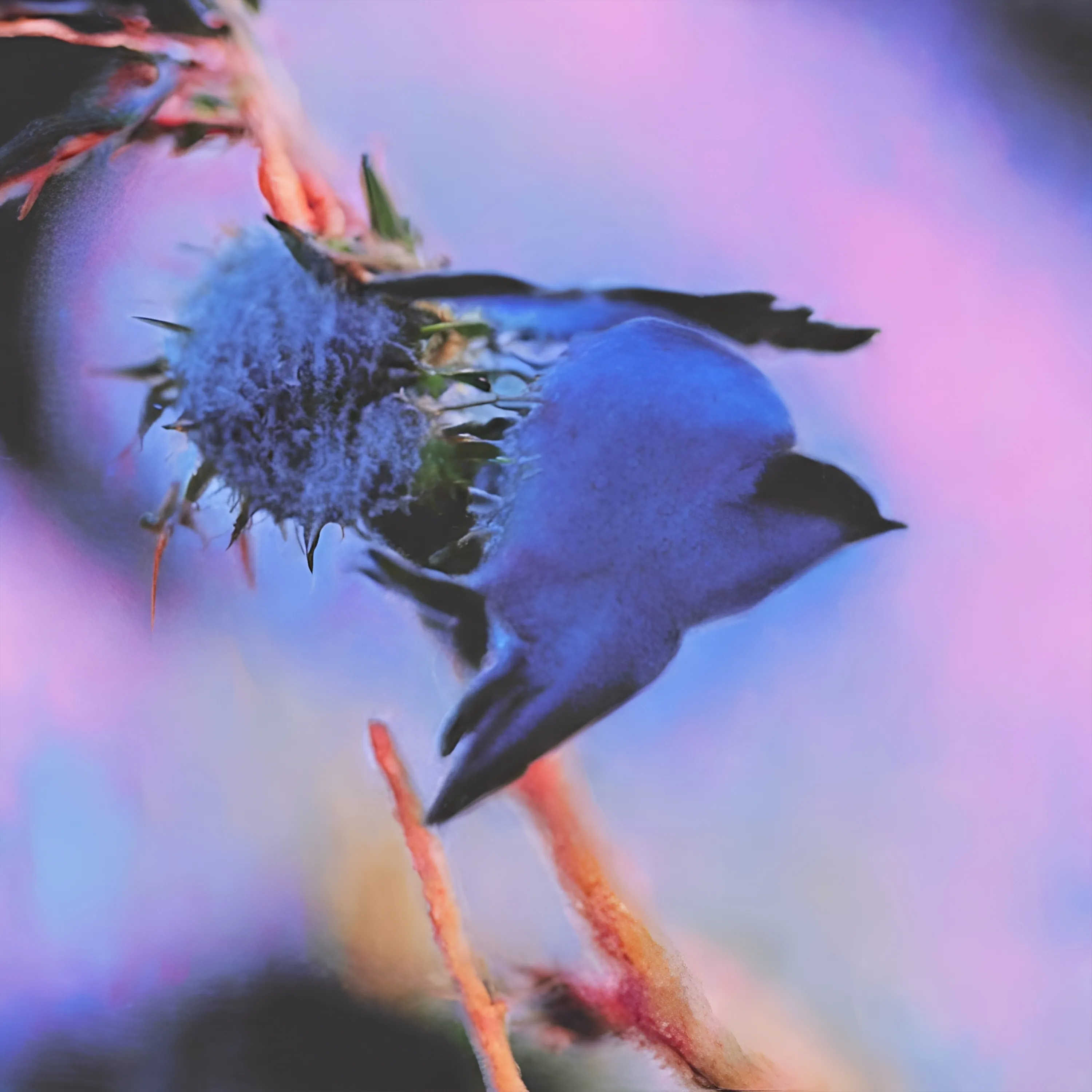 Keith Holland – Idealismo