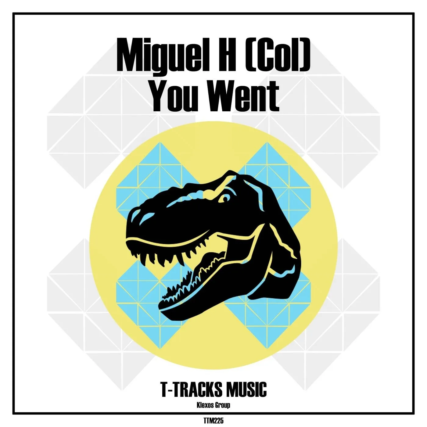 Miguel H (Col) - You Went [T-Tracks Music]