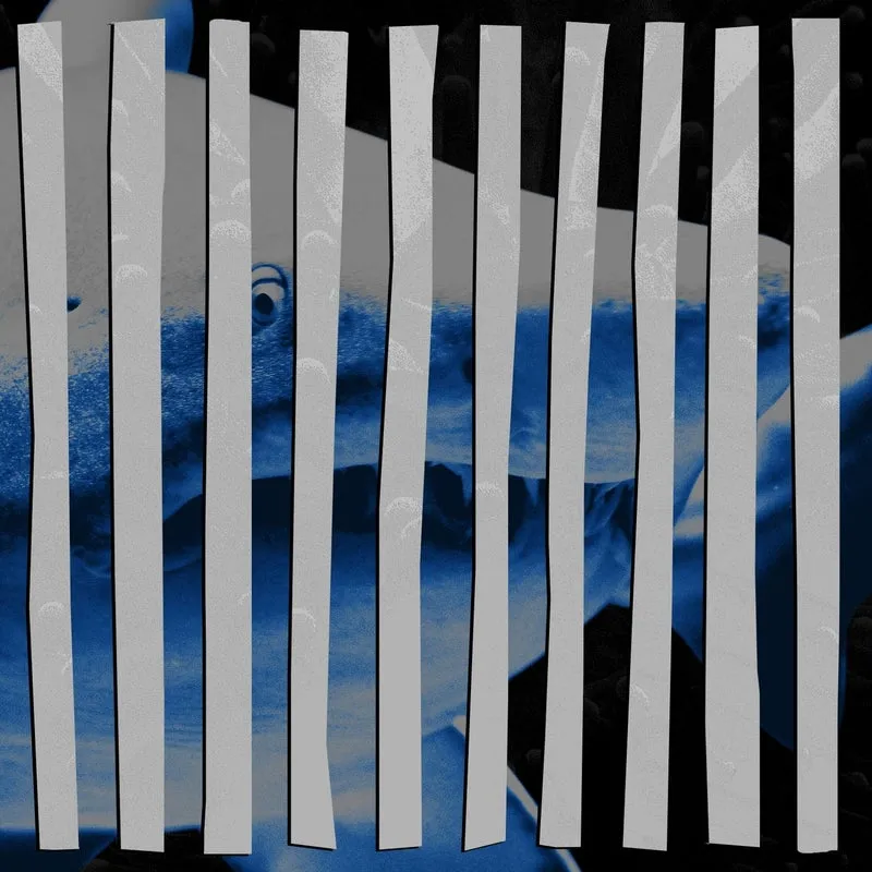 Play Paul, Lost Boy 1984, Diar Storm - Everything So Remixes [Exploited]