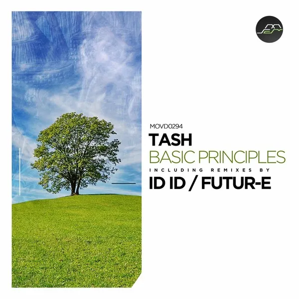 Tash – Basic Principles