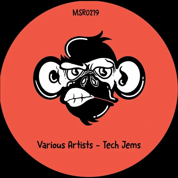 VA - Tech Jems [Monkey Stereo Records]