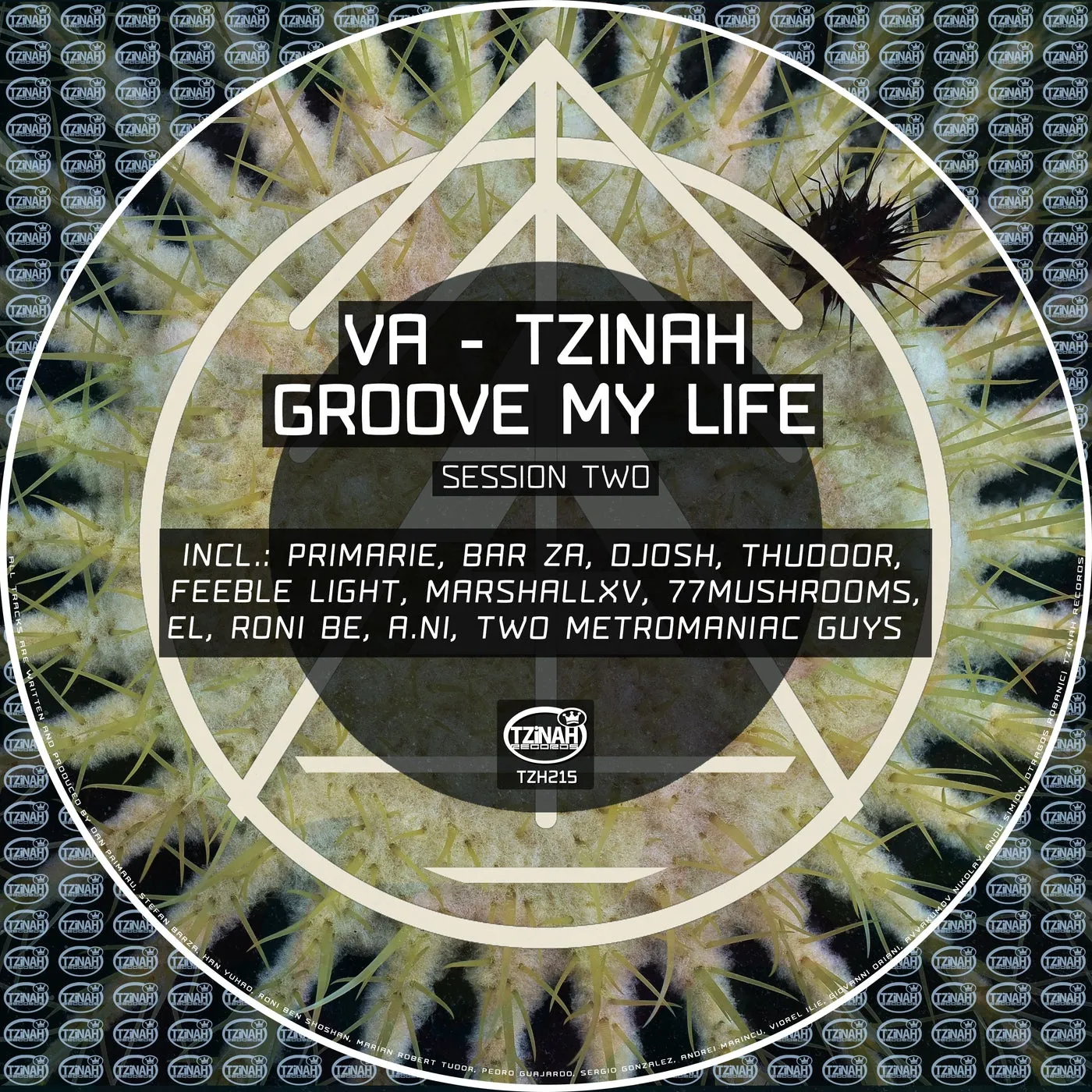 VA - Tzinah Groove My Life Session Two [Tzinah Records]