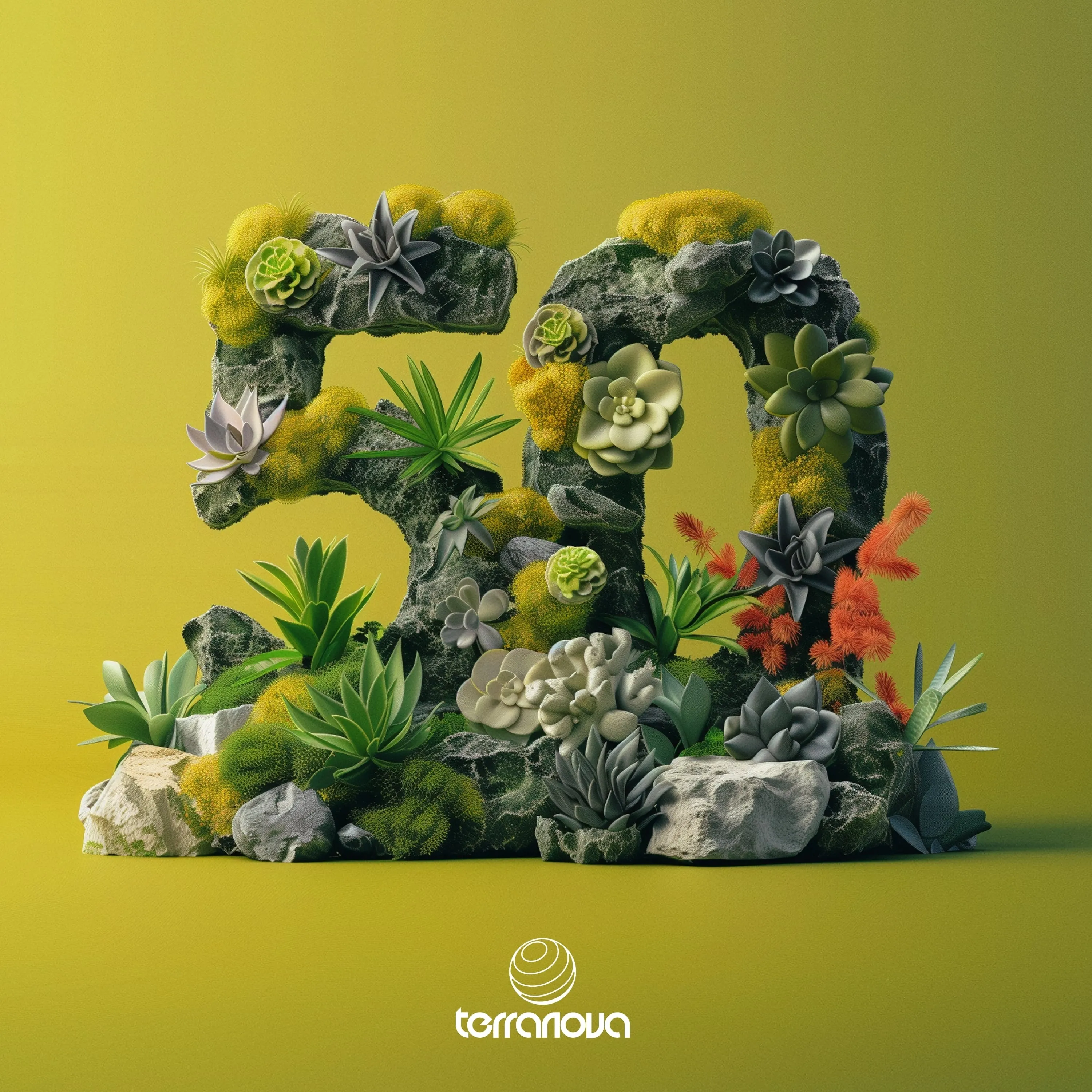 Various Artists – 50