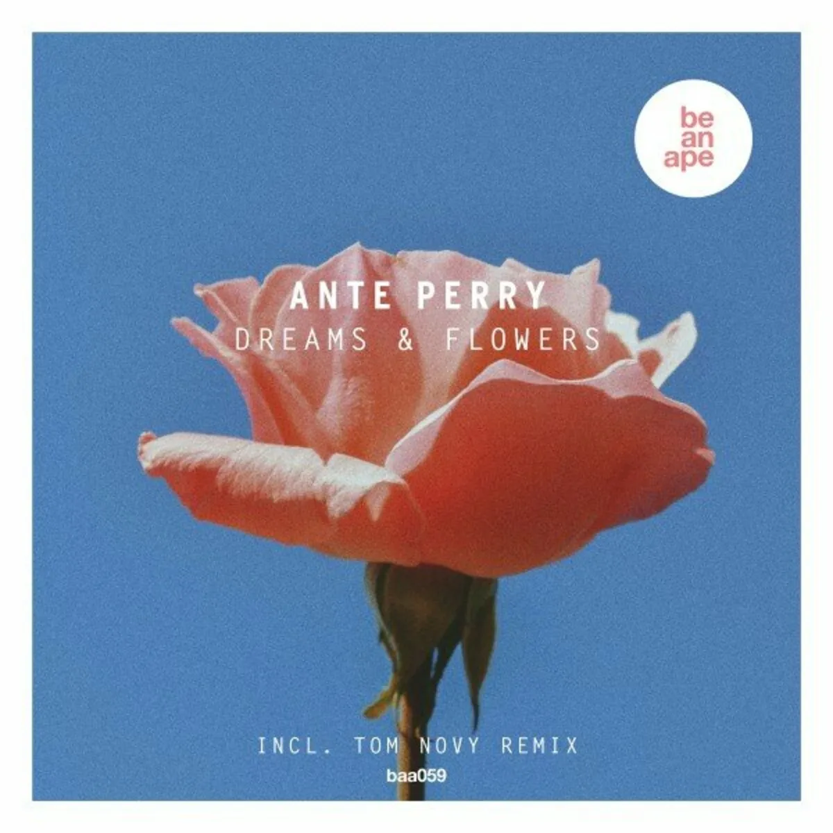 Ante Perry - Dreams & Flowers [be an ape]