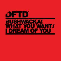 Bushwacka! - What You Want I Dream Of You [DFTD]