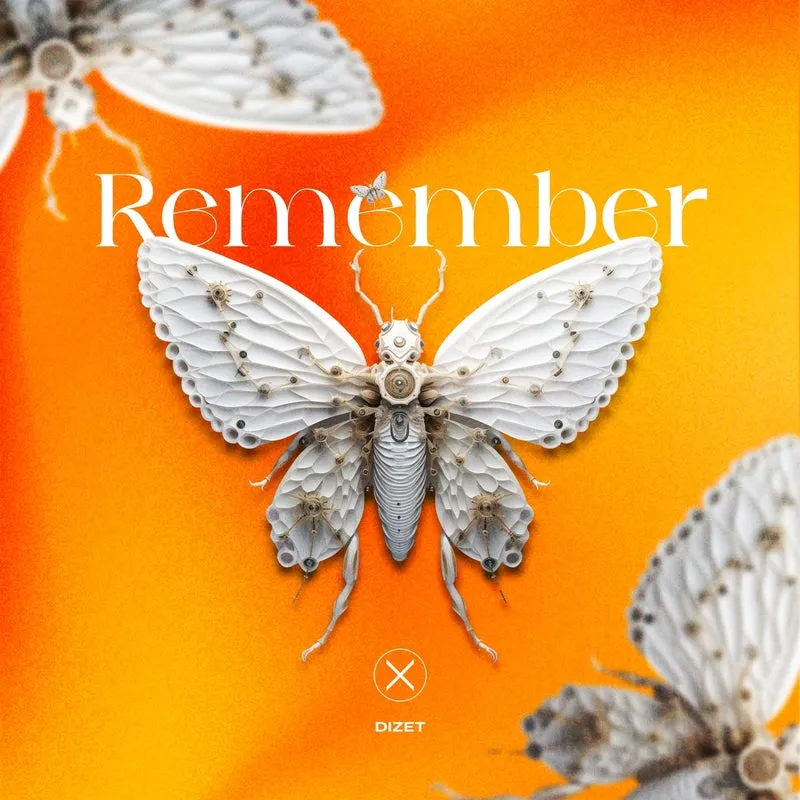 DIZET – Remember