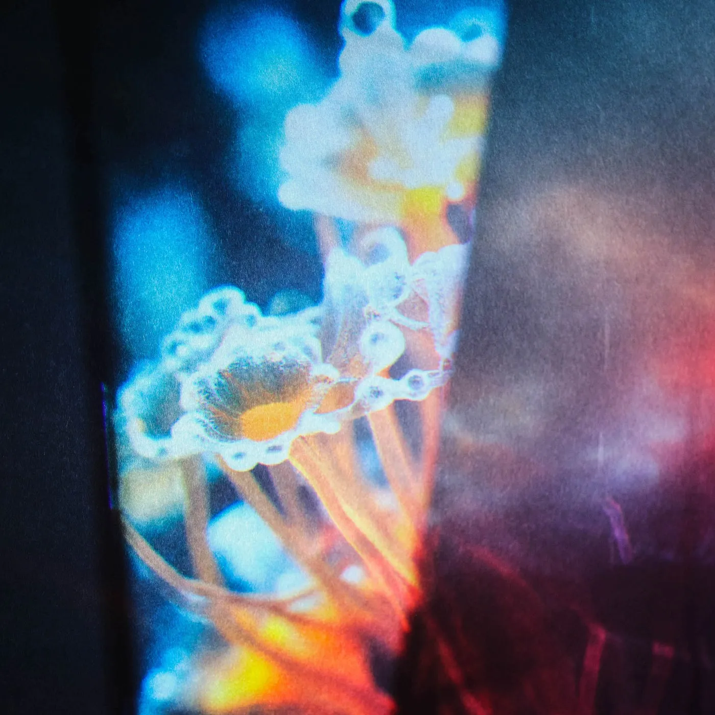 Joris Voorn, Jan Blomqvist - Flora [Spectrum (NL)]