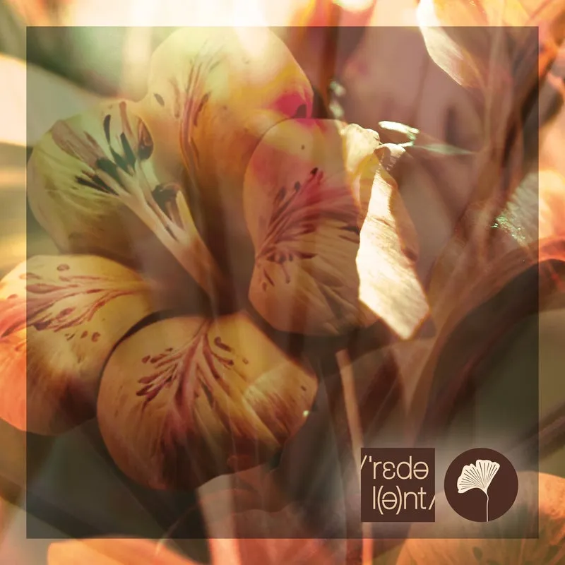 Martijn Ten Velden - I Just Wanna Go [REDOLENT]