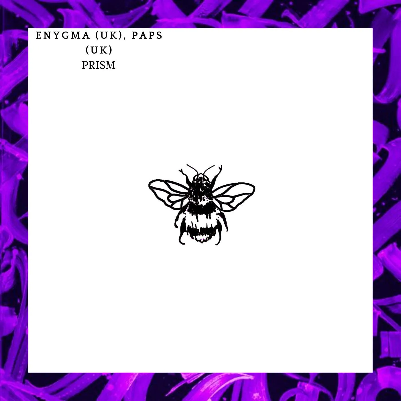 Paps (UK), Enygma (UK) - Prism [Not So Serious Deep]