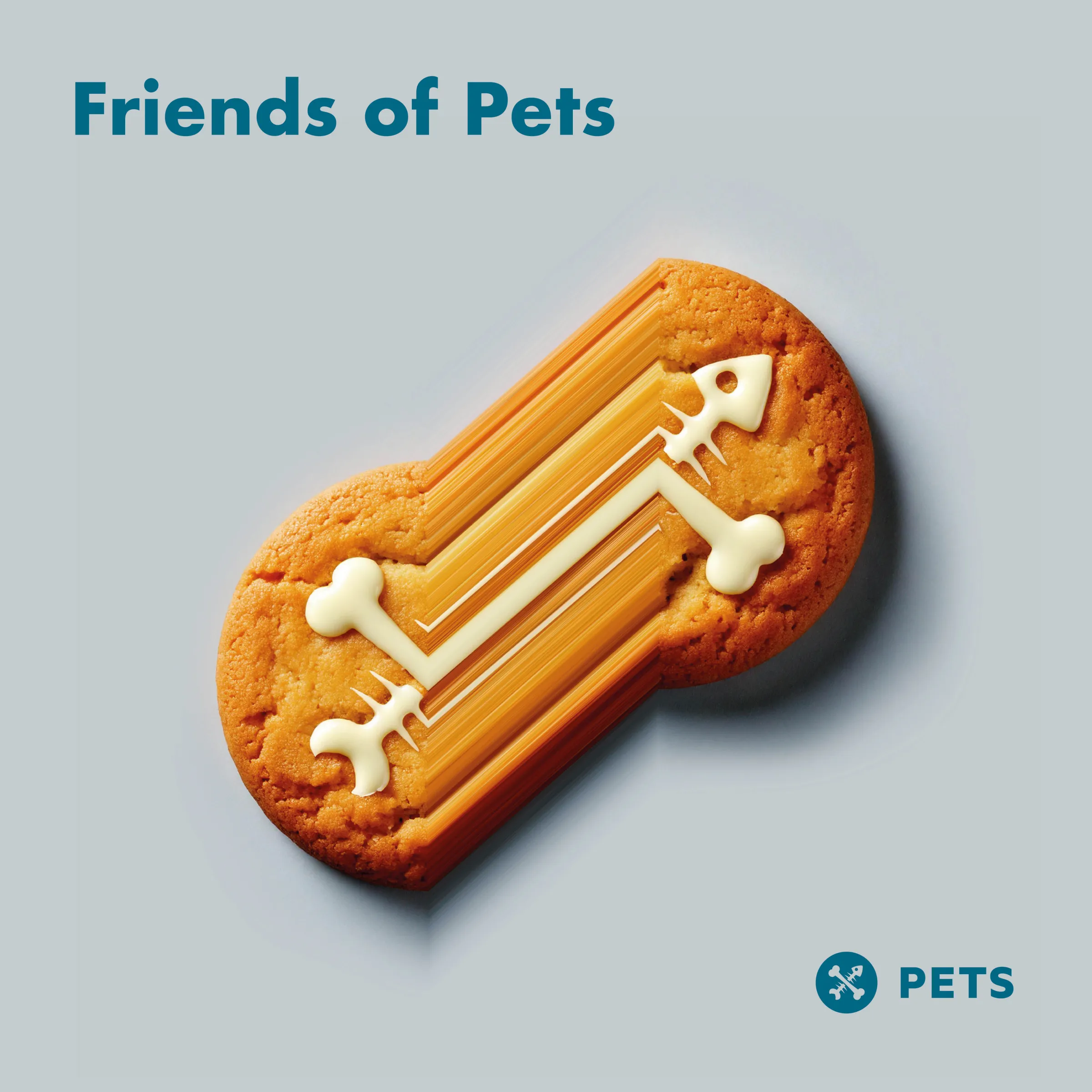 VA - Friends Of Pets [Pets Recordings]