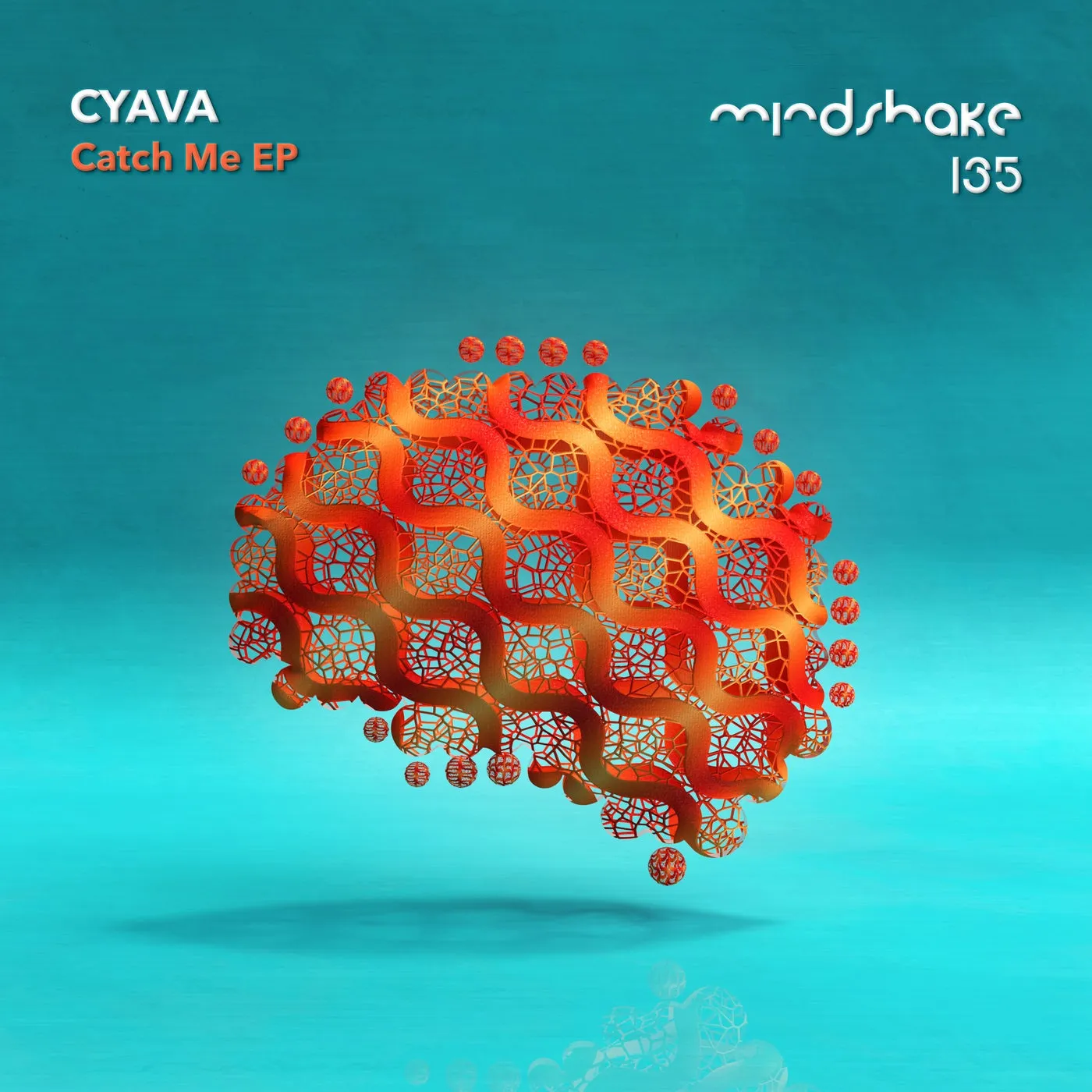 Cyava - Catch Me [Mindshake Records]