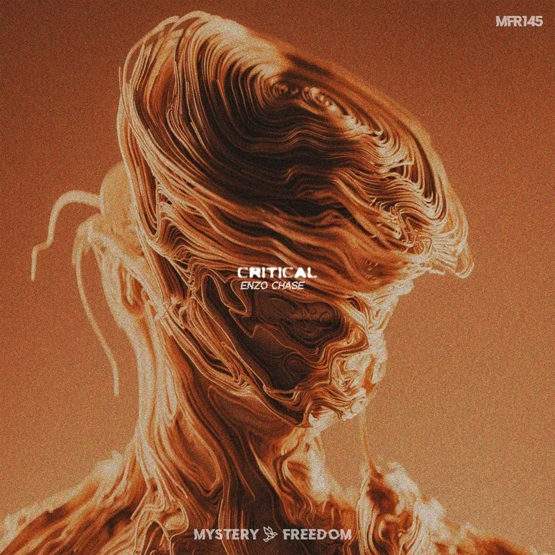 Enzo Chase - Critical [Mystery Freedom Records]