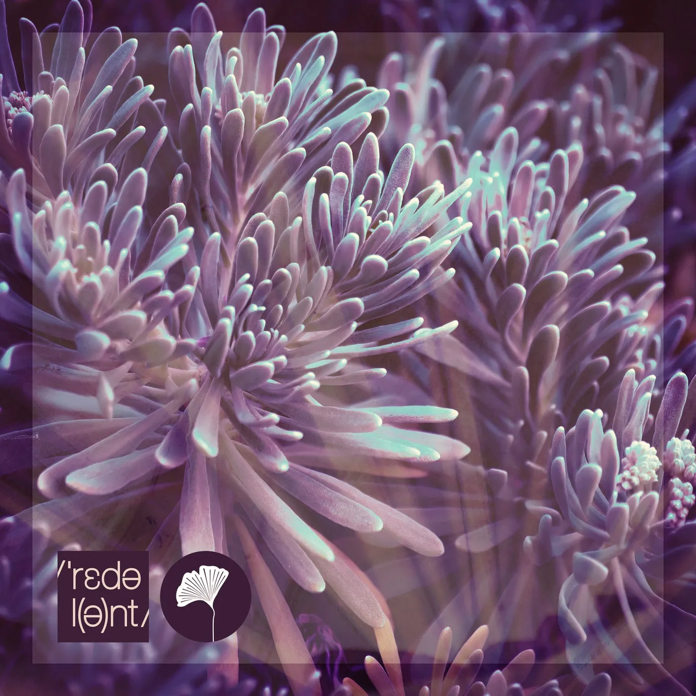 Megablast, Makossa & Megablast, Cleydys Villalon - Soy Como Soy (Mario Bazouri Remix) [REDOLENT]