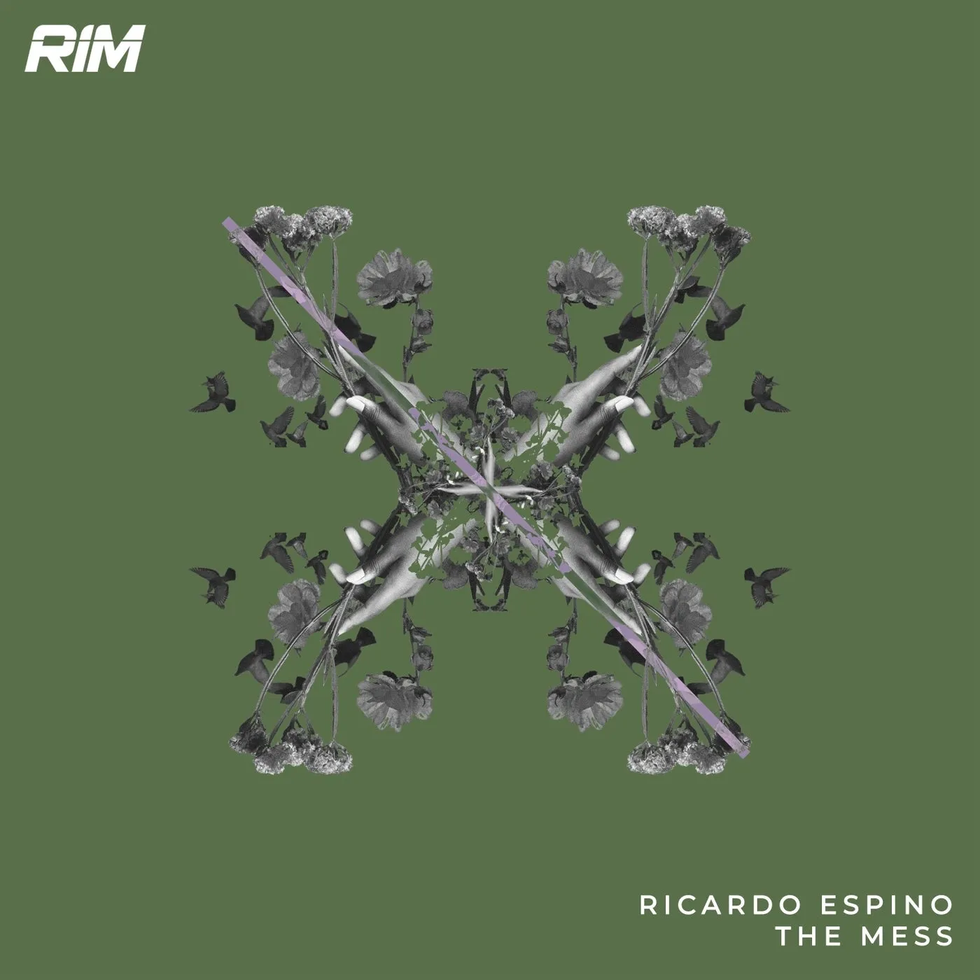 Ricardo Espino - The Mess [RIM]