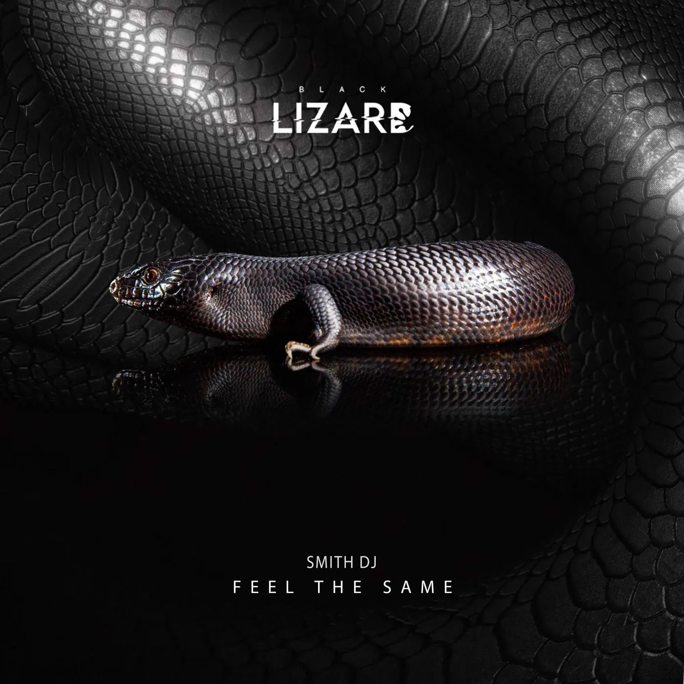 SMITH DJ - Feel The Same [Black Lizard Records]