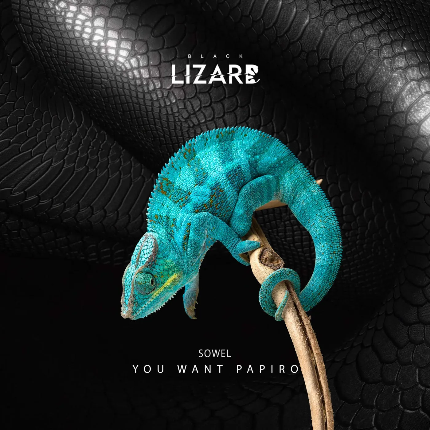 Sowel - You Want Papiro [Black Lizard Records]